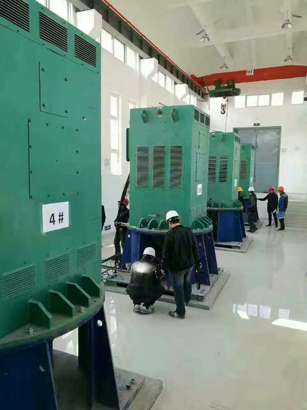 鹤峰某污水处理厂使用我厂的立式高压电机安装现场